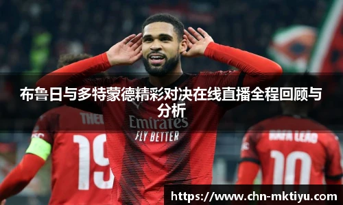 mk体育入口