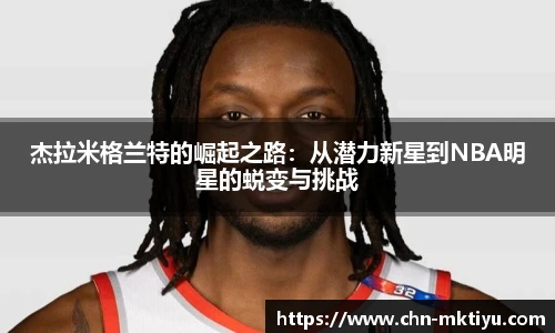 mk体育入口